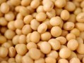 女人吃什么最能丰胸？女性丰胸这4种食物不能错过！