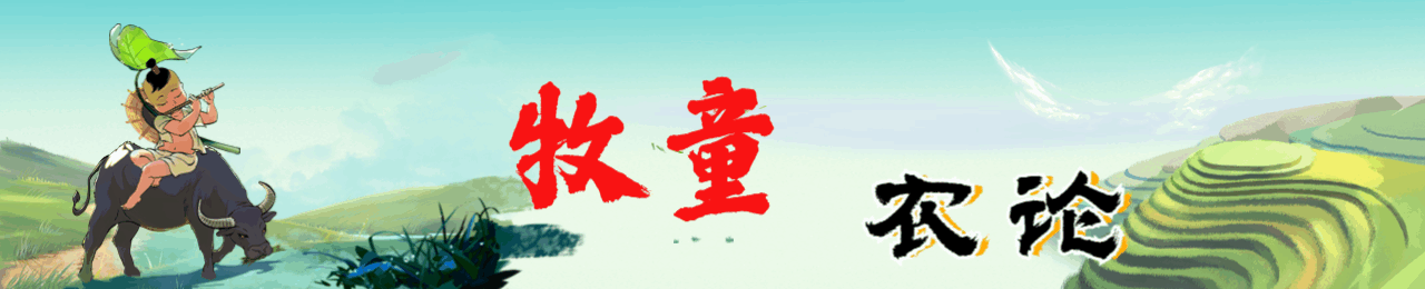 张晋：从“西装暴徒”到“陌路狂刀”