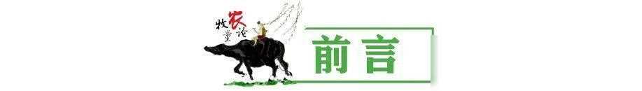 张晋发型杀破狼_张晋杀破狼二好帅啊_杀破狼张晋饰演什么角色