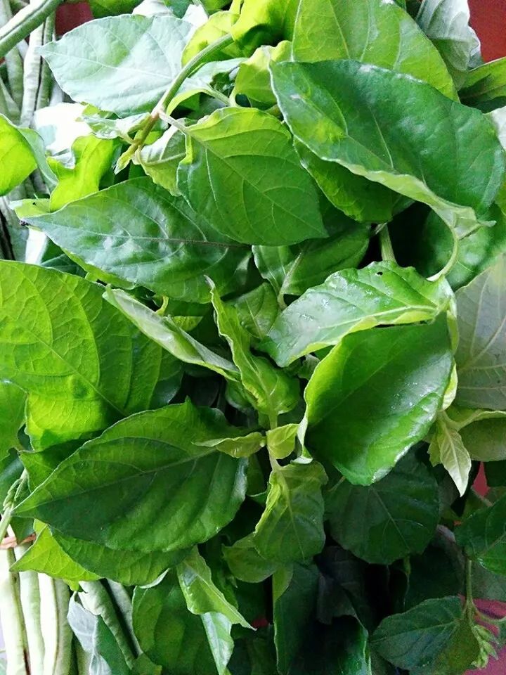 炝拌菜怎么做好吃_炝拌菜做法大全_炝拌菜的大全