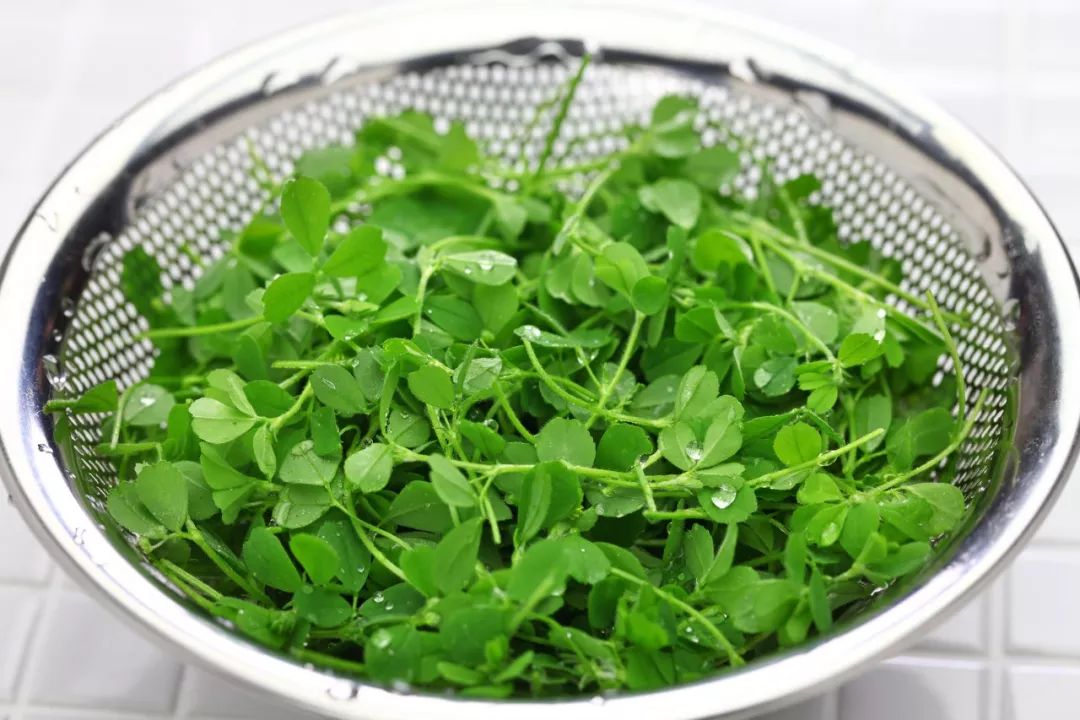 炝拌菜怎么做好吃_炝拌菜的大全_炝拌菜做法大全