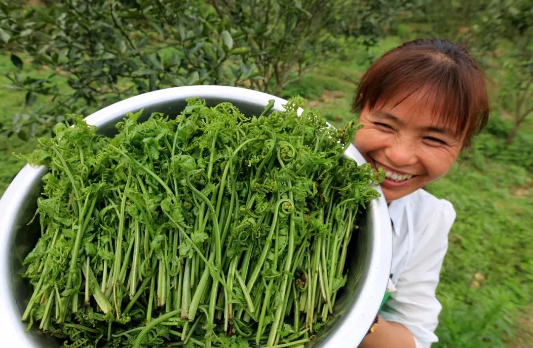 炝拌菜做法大全_炝拌菜的大全_炝拌菜怎么做好吃