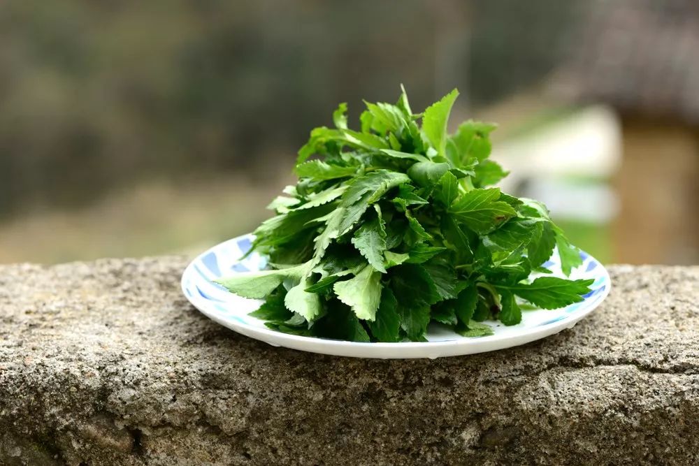 炝拌菜怎么做好吃_炝拌菜做法大全_炝拌菜的大全