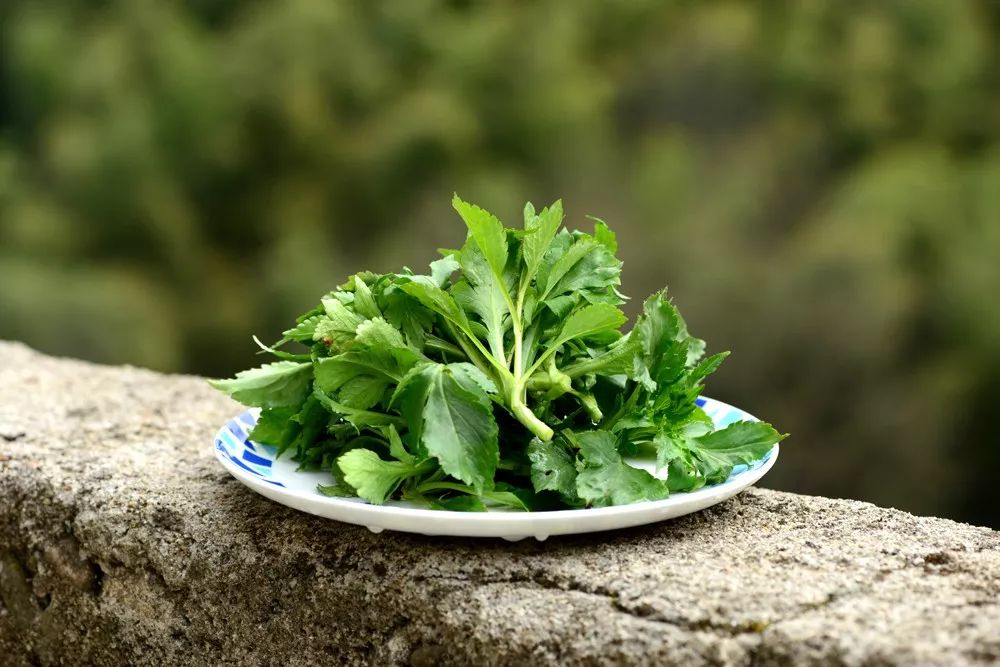 炝拌菜的大全_炝拌菜做法大全_炝拌菜怎么做好吃