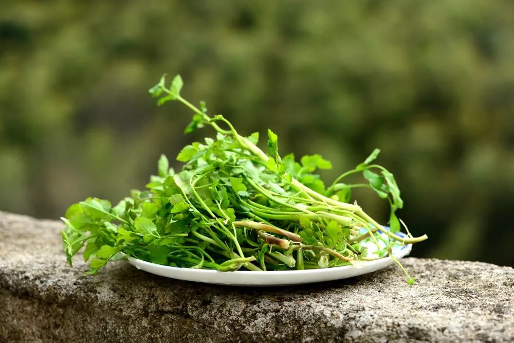 炝拌菜做法大全_炝拌菜怎么做好吃_炝拌菜的大全