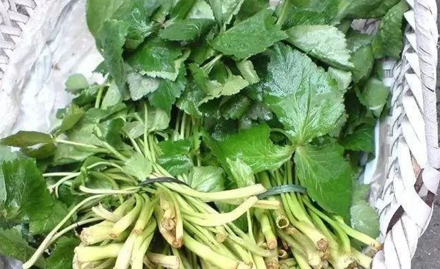 炝拌菜怎么做好吃_炝拌菜做法大全_炝拌菜的大全