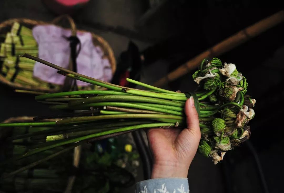 炝拌菜的大全_炝拌菜做法大全_炝拌菜怎么做好吃