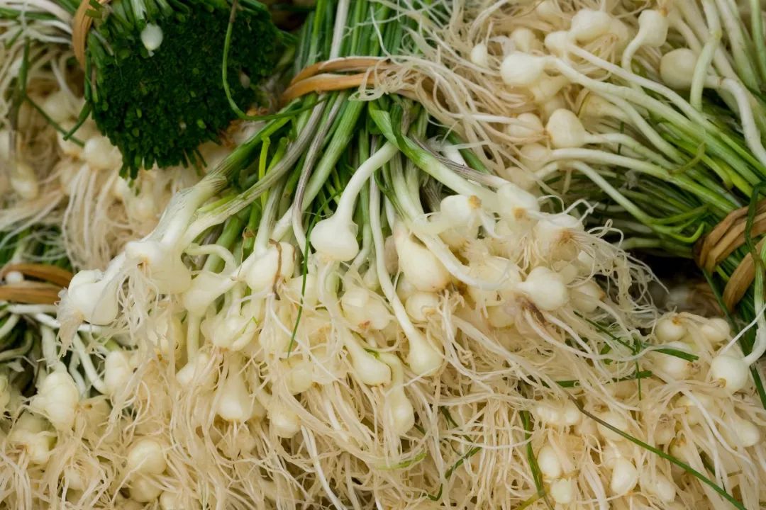 炝拌菜的大全_炝拌菜做法大全_炝拌菜怎么做好吃