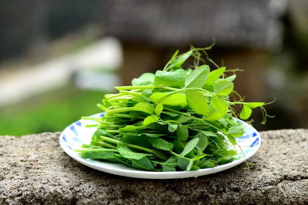 炝拌菜怎么做好吃_炝拌菜的大全_炝拌菜做法大全