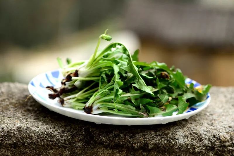 炝拌菜做法大全_炝拌菜的大全_炝拌菜怎么做好吃