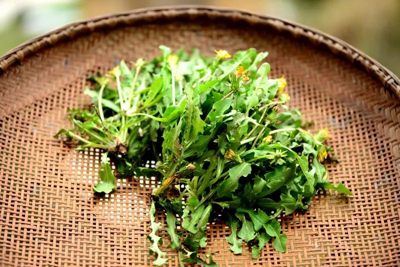 炝拌菜的大全_炝拌菜怎么做好吃_炝拌菜做法大全
