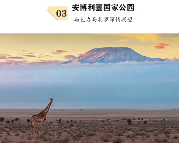 缓步动物对人类有害吗_缓步动物是什么纲_缓步类动物