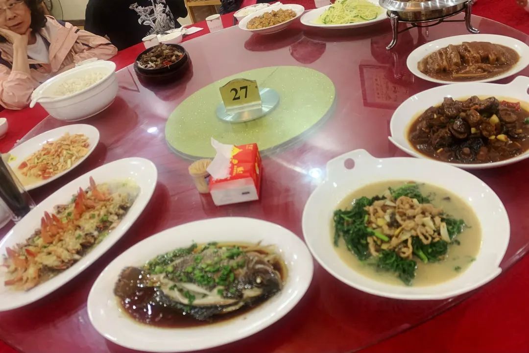 缓步类动物_缓步动物对人类有害吗_缓步动物是什么纲