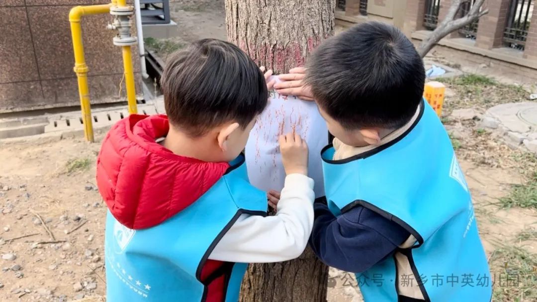 地球树林_地球的树木森林面积变化情况_地球上最大的树木
